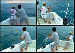 (10) montage (fishing).jpg    (998x706)    353 KB                              click to see enlarged picture